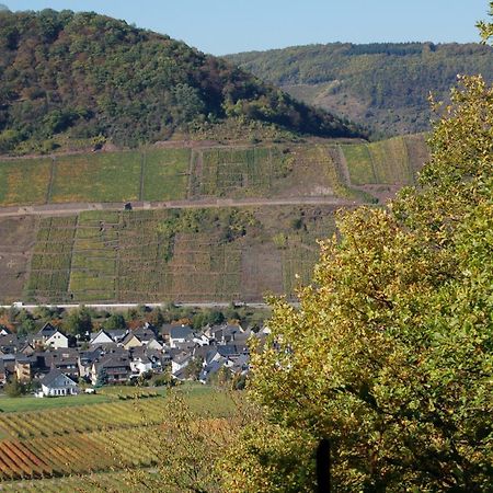 Ferienhaus Mosel Bub Bruttig-Fankel Exteriér fotografie