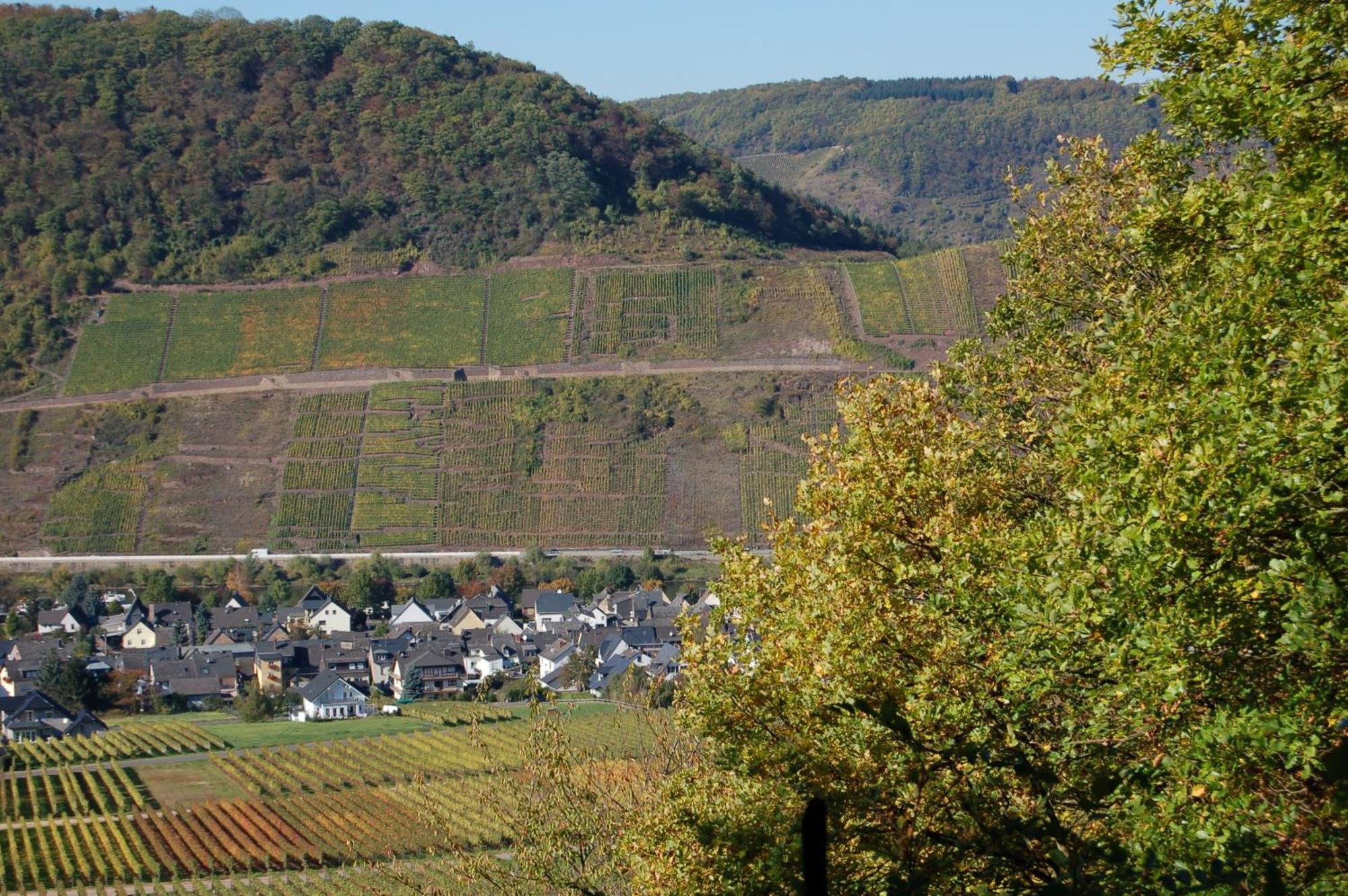 Ferienhaus Mosel Bub Bruttig-Fankel Exteriér fotografie