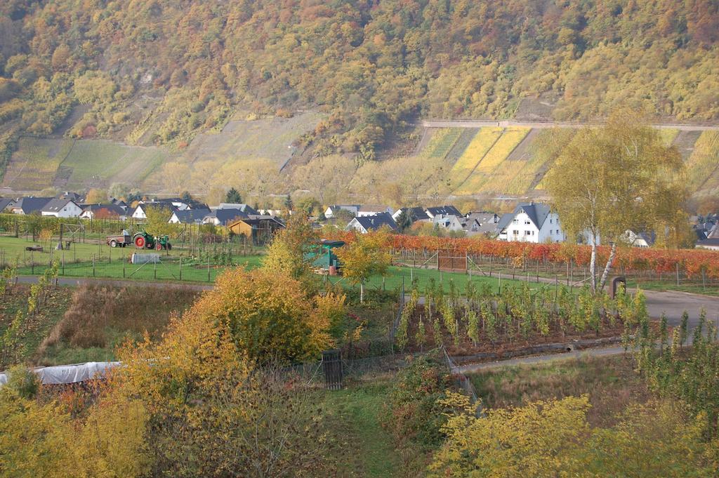 Ferienhaus Mosel Bub Bruttig-Fankel Pokoj fotografie